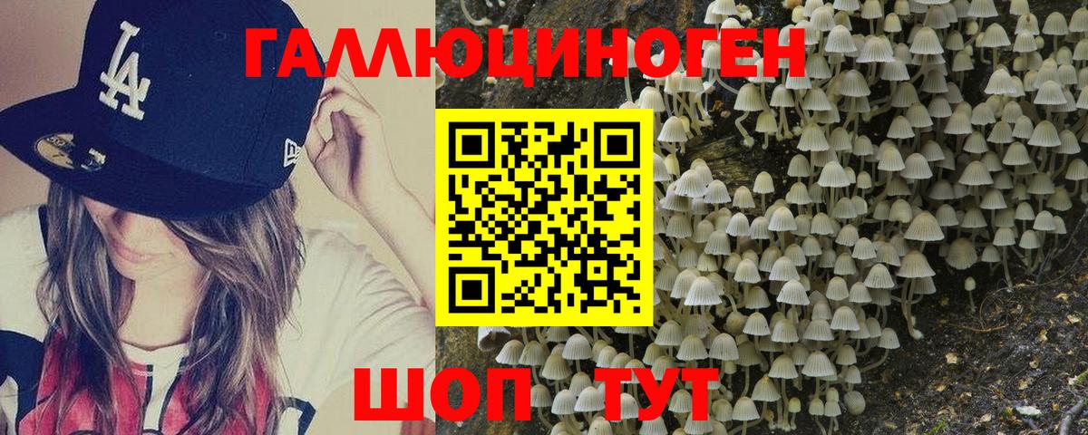 Псилоцибиновые грибы прущие грибы Новый Уренгой