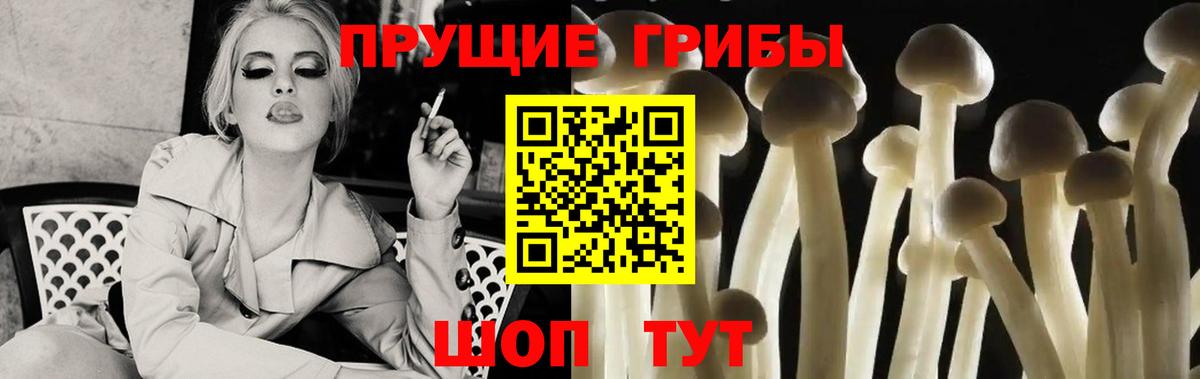 Новый Уренгой  Галлюциногенные грибы Psilocybe  Вход с VPN  Галлюциногенные грибы GOLDEN TEACHER 